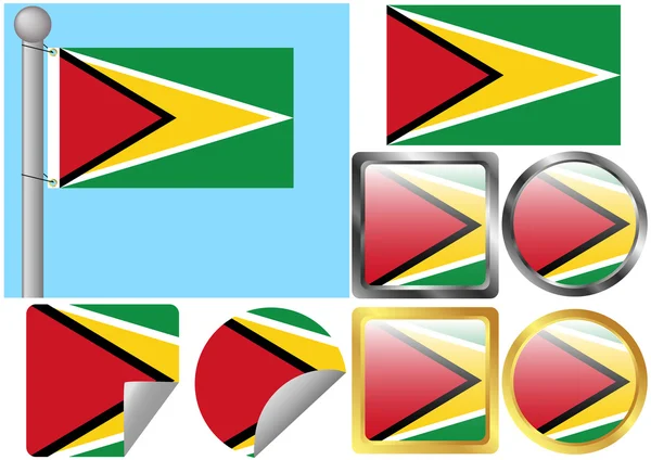 Flag Set Guyana — Stock Vector