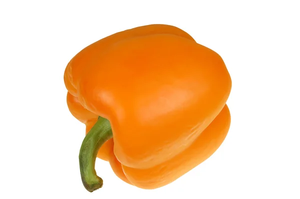 Μια πορτοκαλί πιπεριά που απομονώνονται σε λευκό — Φωτογραφία Αρχείου