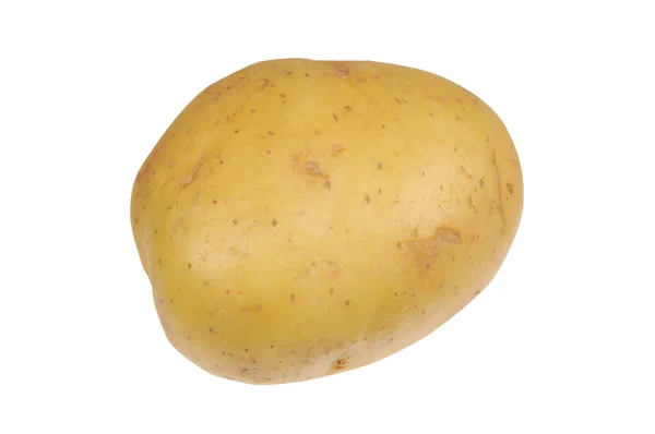 Eine goldene Kartoffel isoliert auf weiß — Stockfoto