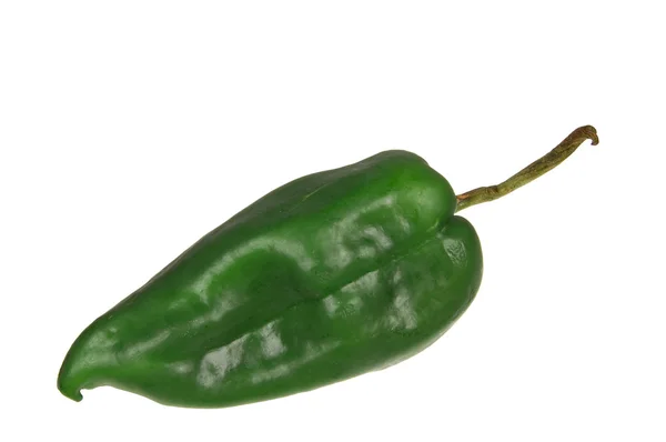 Zöld poblano chili elszigetelt fehér — Stock Fotó
