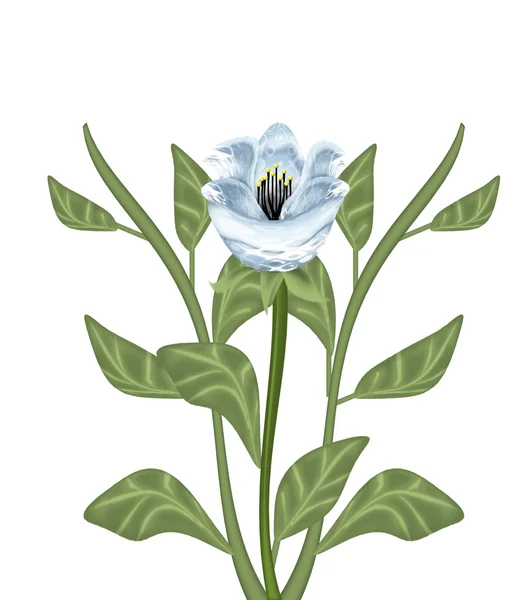Jolies fleurs — Image vectorielle