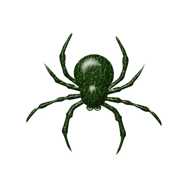Kleurrijke spin — Stockvector