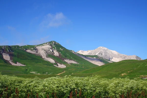 Sulle montagne del Caucaso — Foto Stock