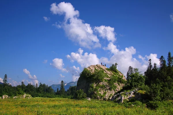 Large boulder in the meadow — Stock Photo, Image