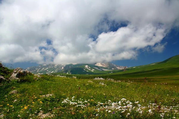 A kaukázusi hegyekben — Stock Fotó