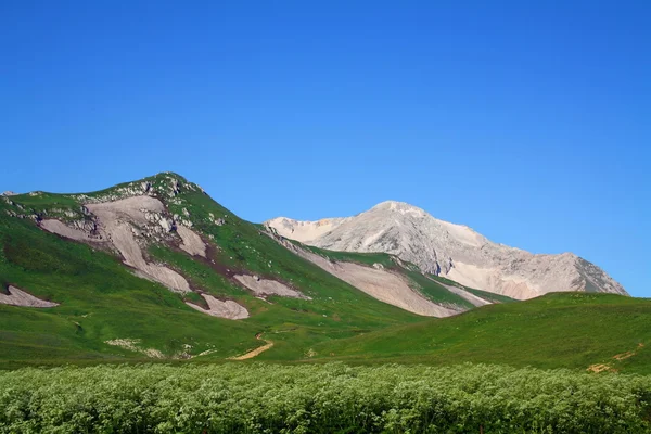 In the Caucasus Mountains — Stock Photo, Image