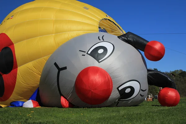Hete lucht ballon lieveheersbeestje — Stockfoto