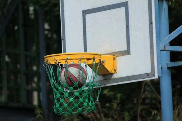 Basket — Photo