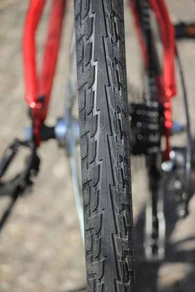 타이어 산악 자전거 — 스톡 사진