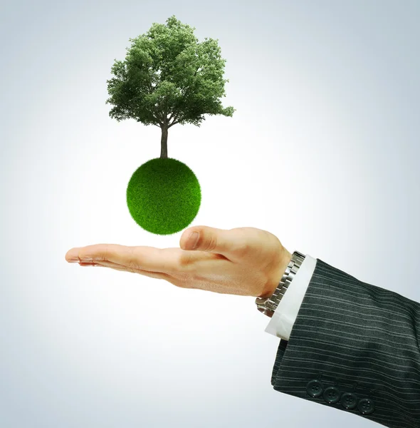 Eco gröna jorden med gröna träd i businessman's hand — Stockfoto
