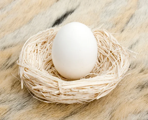 Большое яйцо в маленьком гнезде — стоковое фото