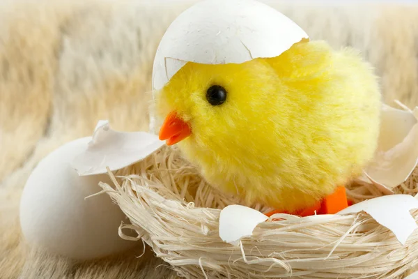Іграшка дитяча курка з яєчною шкаралупою — стокове фото