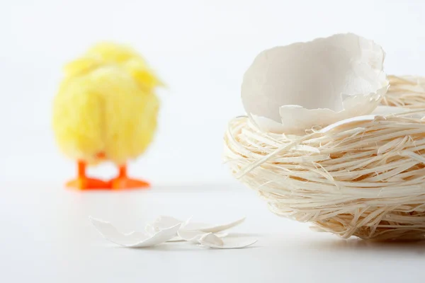 Nest with eggshell cracks and walking away chicken — Stock Photo, Image