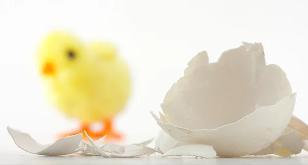 Rachaduras de casca de ovo e frango de brinquedo — Fotografia de Stock
