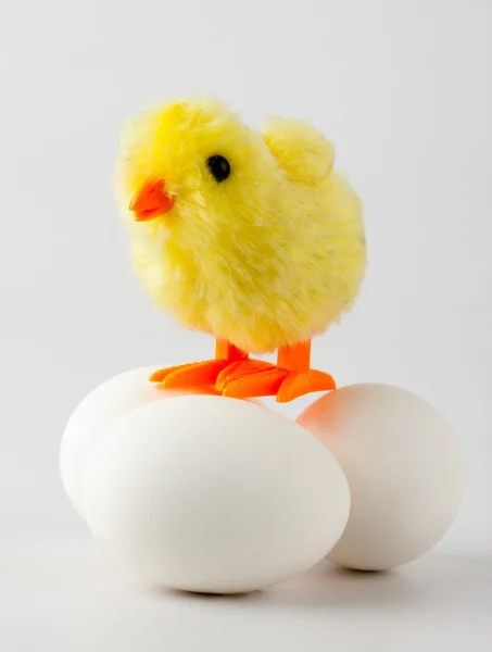 Baby kyckling står på ägg — Stockfoto