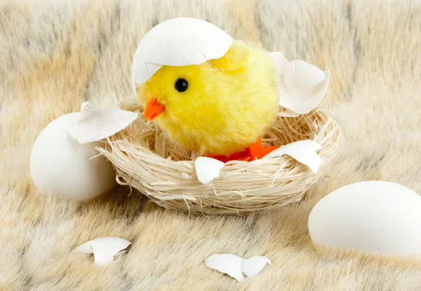 달걀 껍질을 가진 장난감 아기 닭 — 스톡 사진