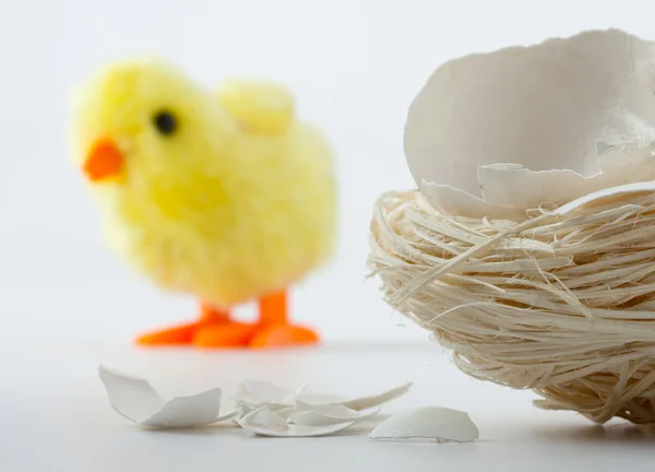 Fészek tojáshéj repedések és játék-csirke — Stock Fotó