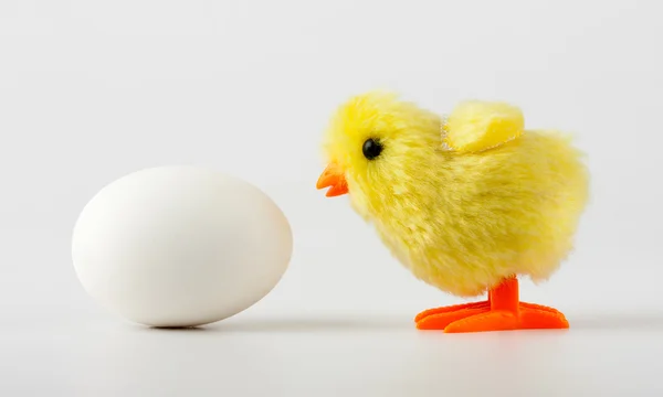 Bébi csirke tojás nézett — 스톡 사진