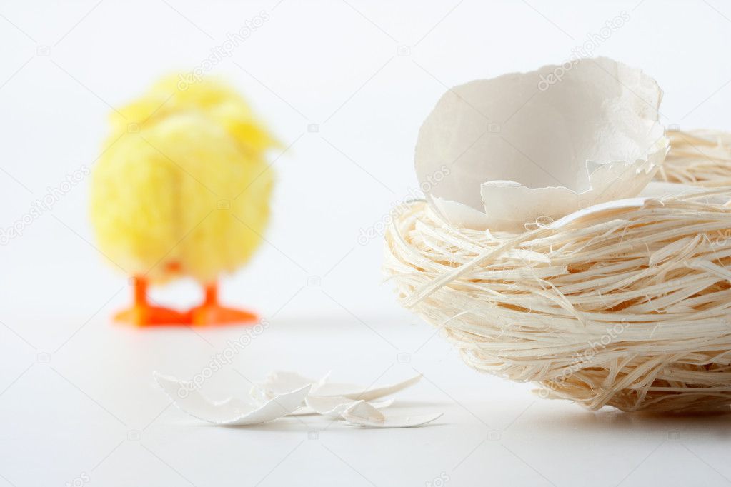 Nest with eggshell cracks and walking away chicken