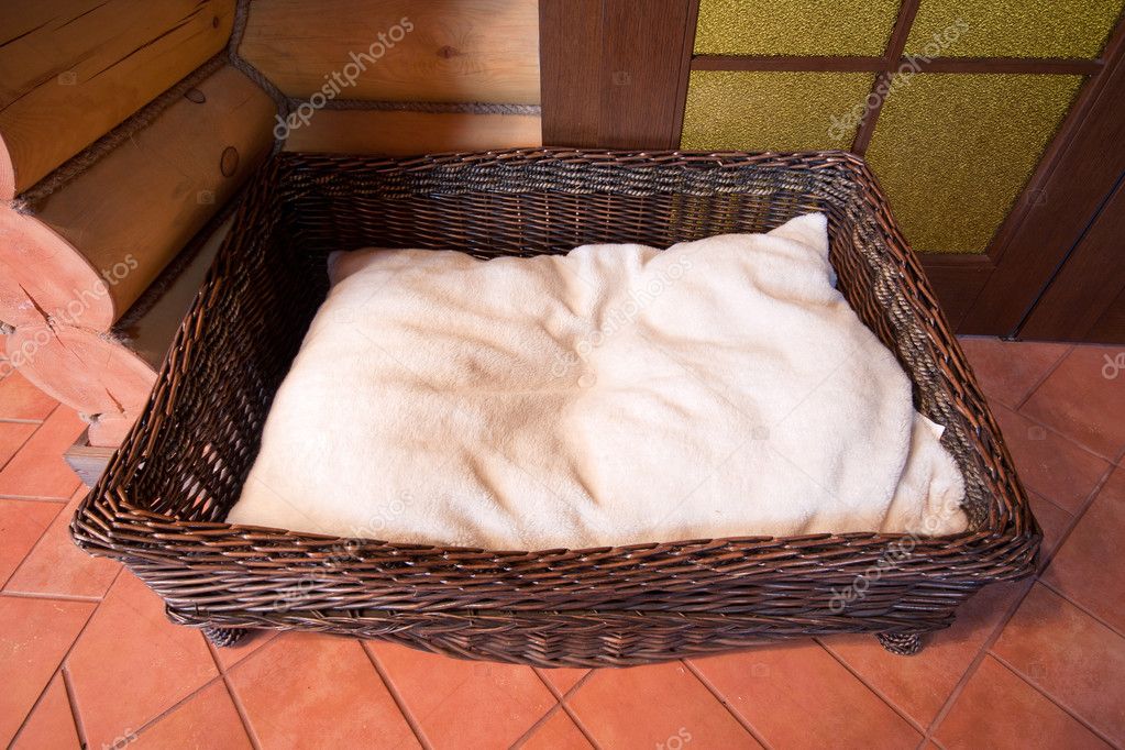 Wicker dog basket Stock Photo by ©Nomadsoul1 5425056