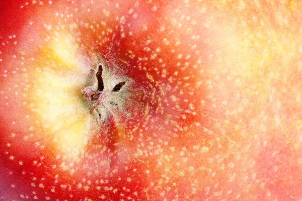 Rode rijpe appel achtergrond — Stockfoto