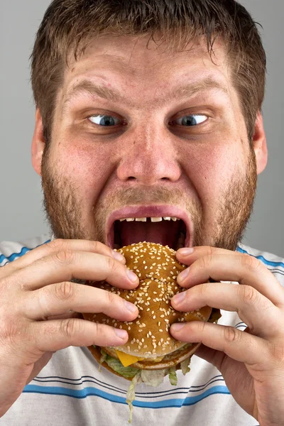 Man eating hamburger Stock Image