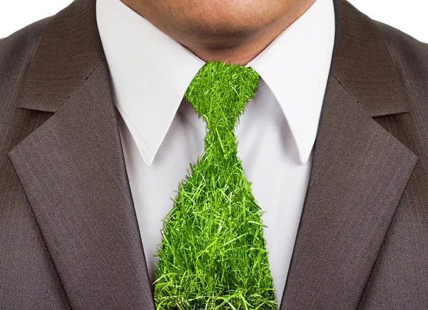 Traje formal de hombre de negocios con corbata de hierba — Foto de Stock