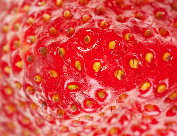 Frische reife Erdbeere — Stockfoto