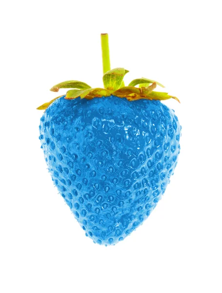 Morango maduro azul — Fotografia de Stock