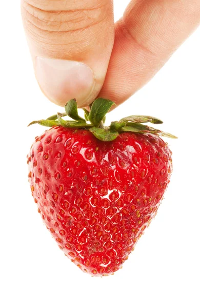 Hand hält reife Erdbeere — Stockfoto
