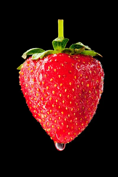 Nasse reife Erdbeere — Stockfoto