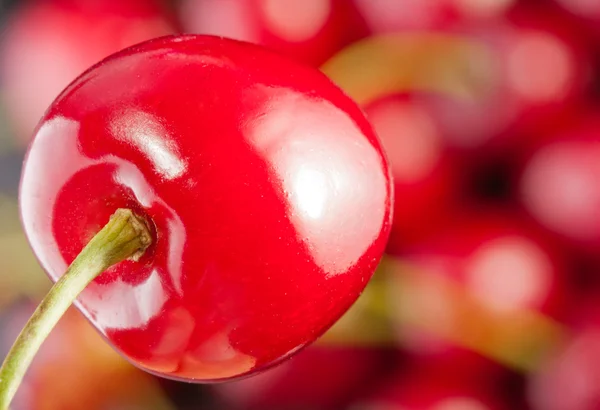 Piros édes bogyó — Stock Fotó