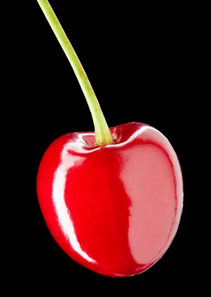赤の甘いベリー — ストック写真