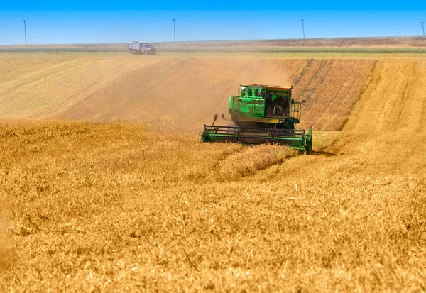 Combinar o trabalho em um campo de trigo — Fotografia de Stock