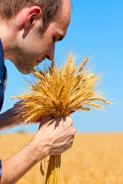 Agricultor com orelhas — Fotografia de Stock