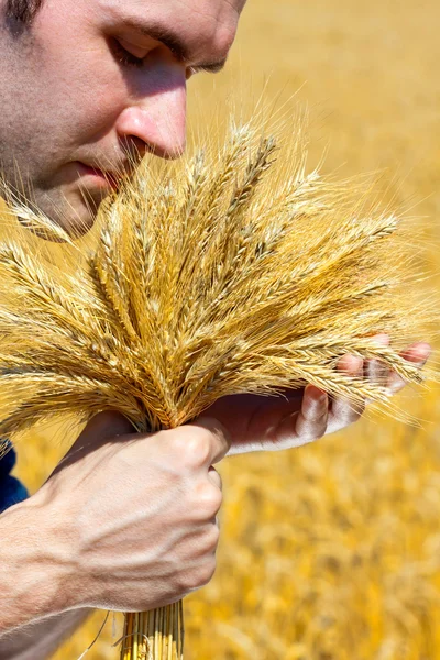 Çiftçi kulak ile — Stok fotoğraf