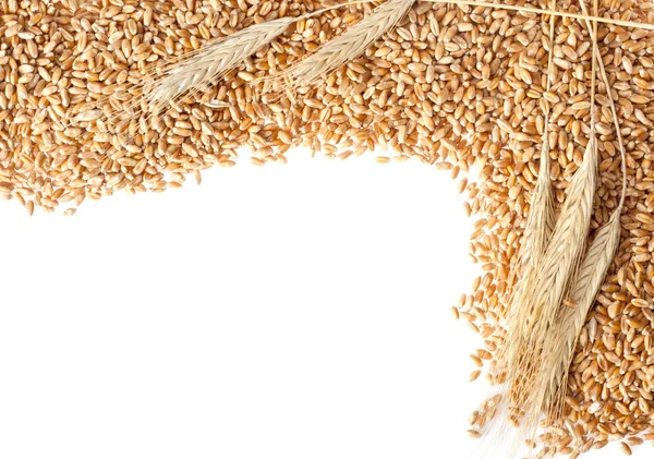 小麦耳朵与种子 — 图库照片