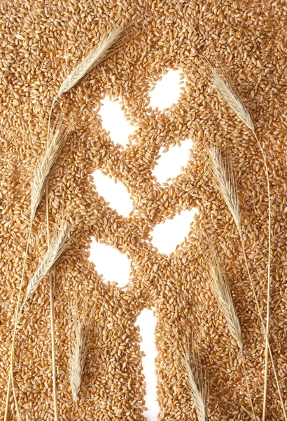 Символ пшеницы — стоковое фото