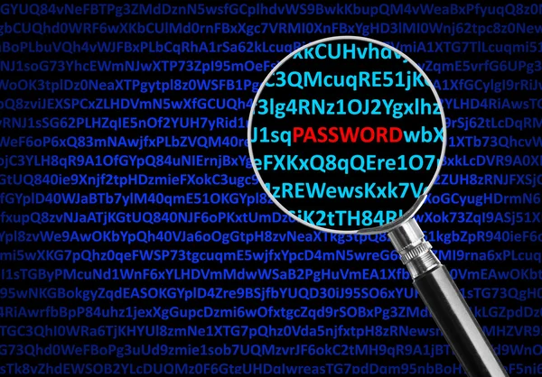 Magnifying glass focused on PASSWORD — Stock Photo, Image