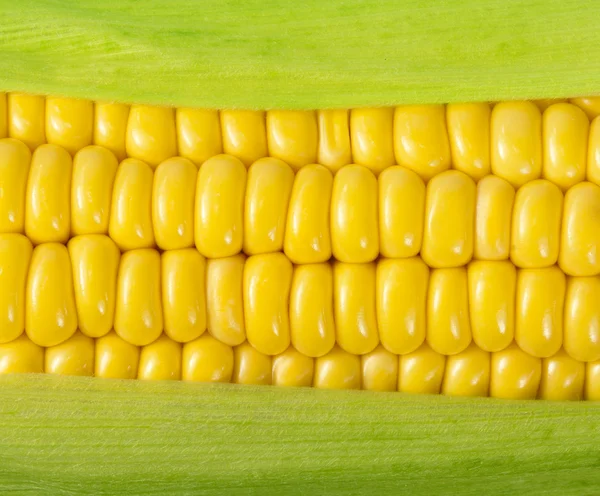 Dojrzała kukurydza na kolbie — Zdjęcie stockowe