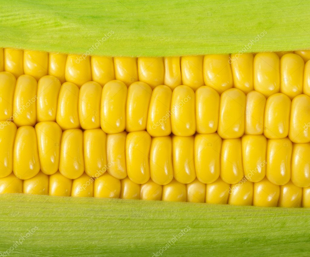 Corn kernels Stock Photos, Royalty Free Corn kernels Images | Depositphotos