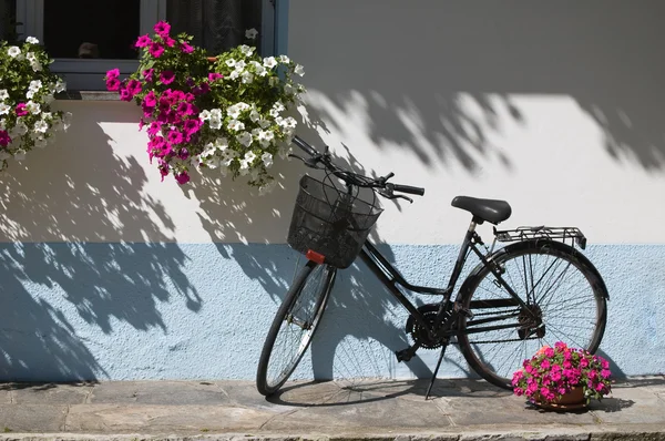 Велосипед с цветами Лицензионные Стоковые Изображения