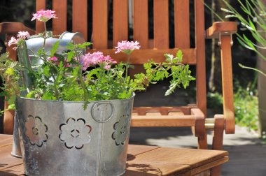 Verbena pot on terrace clipart