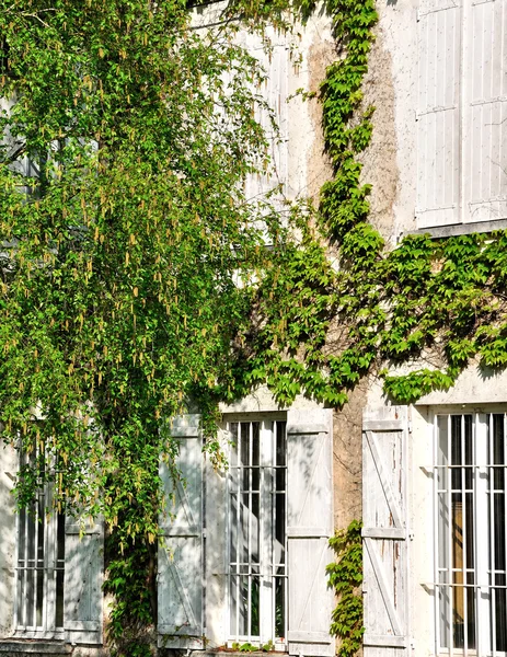 Beyaz panjurlar ile penceresi olan bir ev cephe — Stok fotoğraf