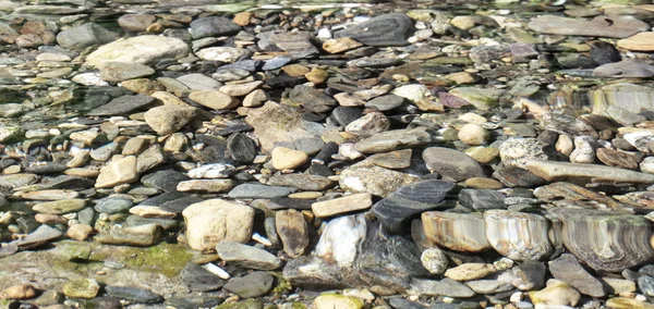 清澈的水中的鹅卵石 — 图库照片