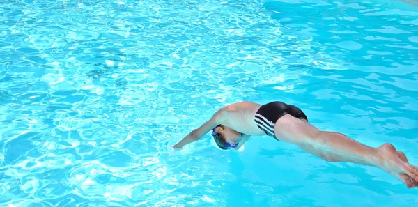 Loon na água da piscina — Fotografia de Stock