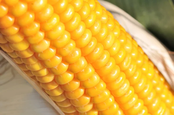 Granos de maíz — Foto de Stock