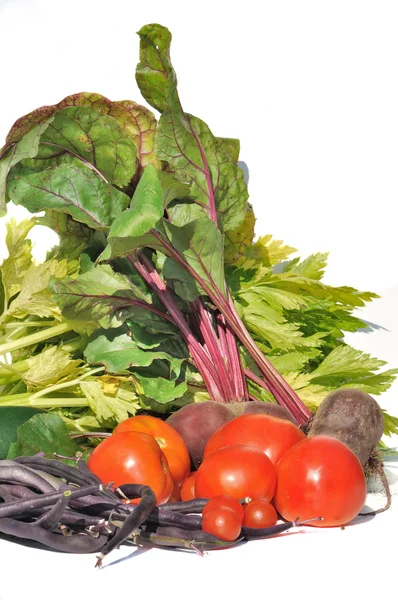 Vegetable harvest — Stock Photo, Image