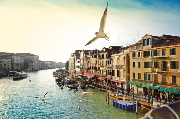 Grand canal, uitzicht vanaf Rialtobrug, Venetië — Stockfoto