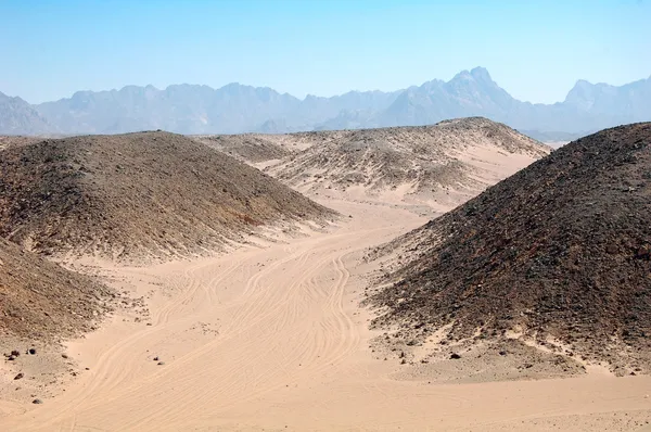 Aavikko Egyptissä — kuvapankkivalokuva